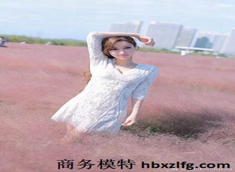 兰州商务模特微信平台