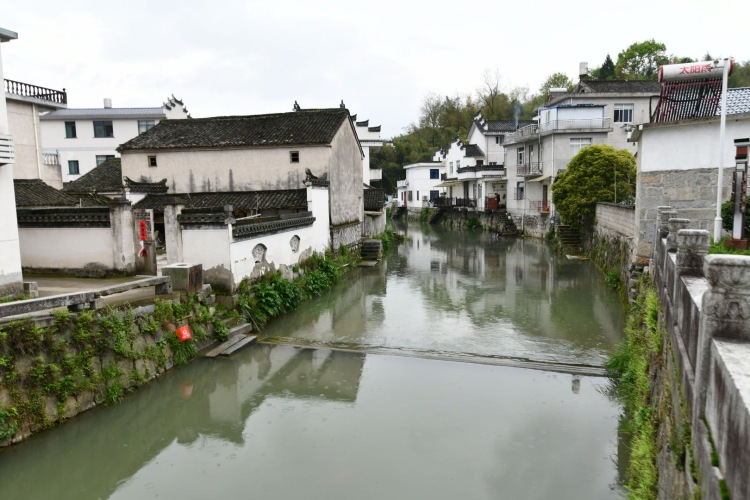 许政 Zheng Xu-江苏省·南京市·玄武区-知乎-只有周末可以 地点可以双方确定 费用互免或协商 风景 人物 都可 不接受商业拍摄 需要提前约 设备尼康D850 佳能R5 大疆 mavic pro 2 哈苏版