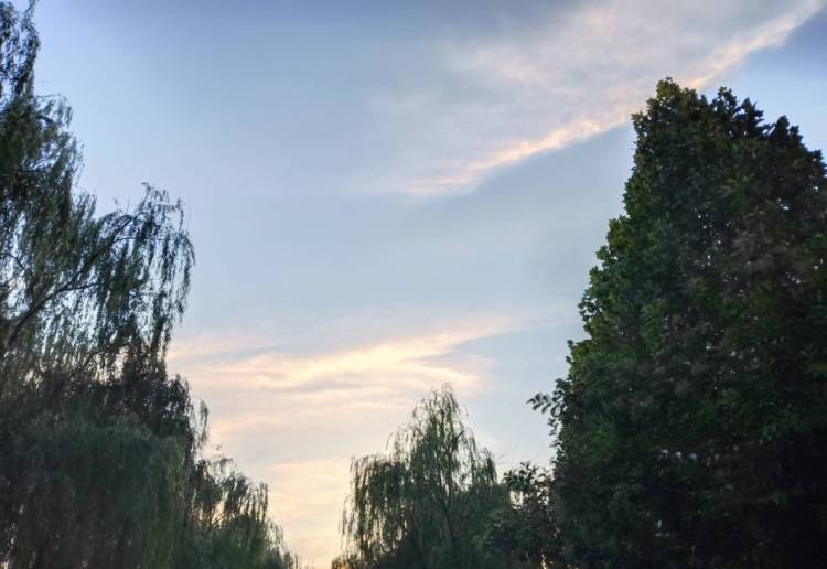 柳玉莹-河南省·洛阳市·偃师市-快手-我会抓拍人物特点 形象 还有风景 景物 会找合适的位置 角度 摆各种姿势等 各种风格都可以 滤镜也可以调 还可以批图