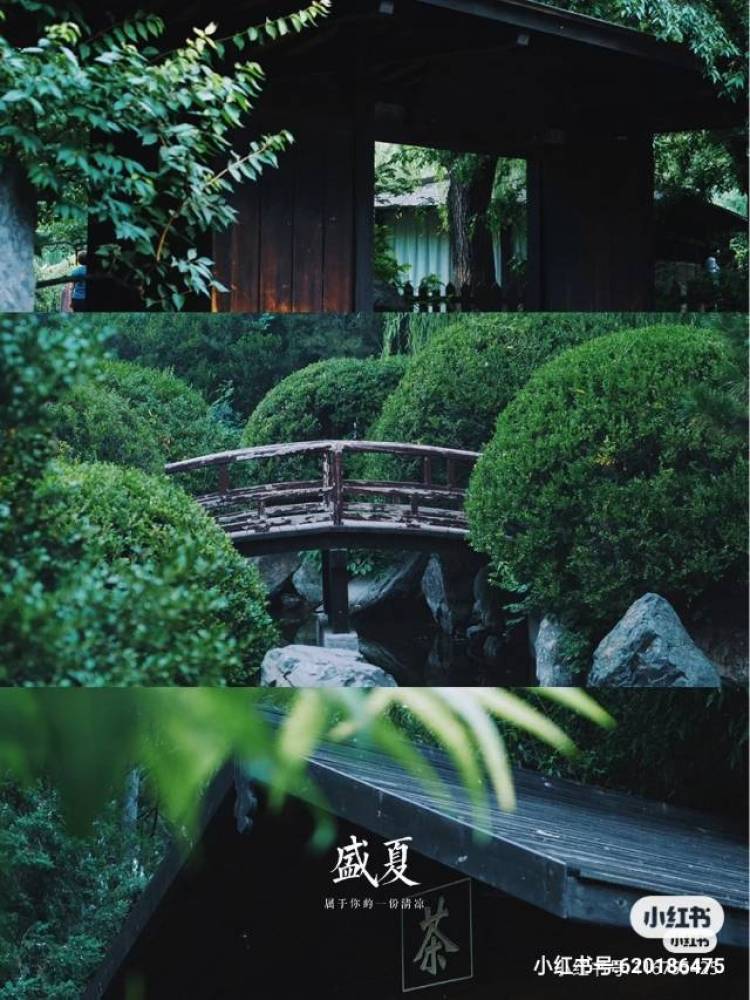 下图 北京双秀公园，想拍点日式风格的片子，常服,jk,汉服,