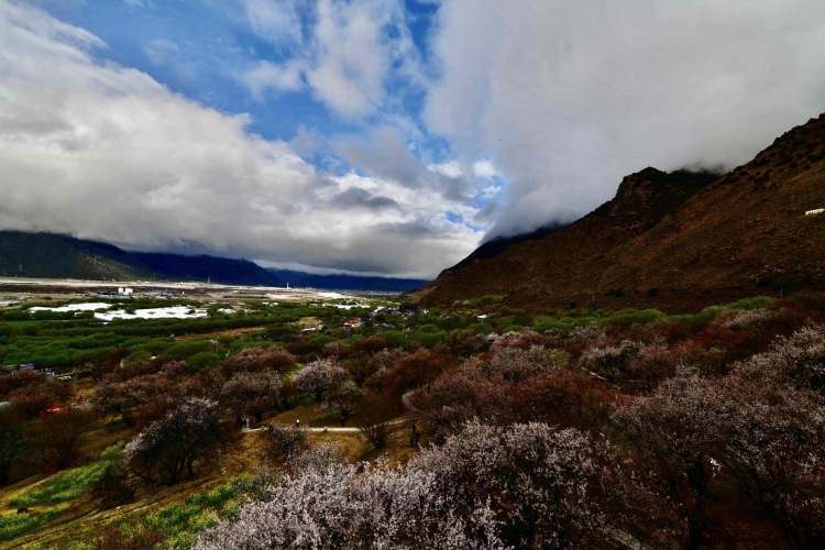 只有周末可以 地点可以双方确定 费用互免或协商 风景 人物