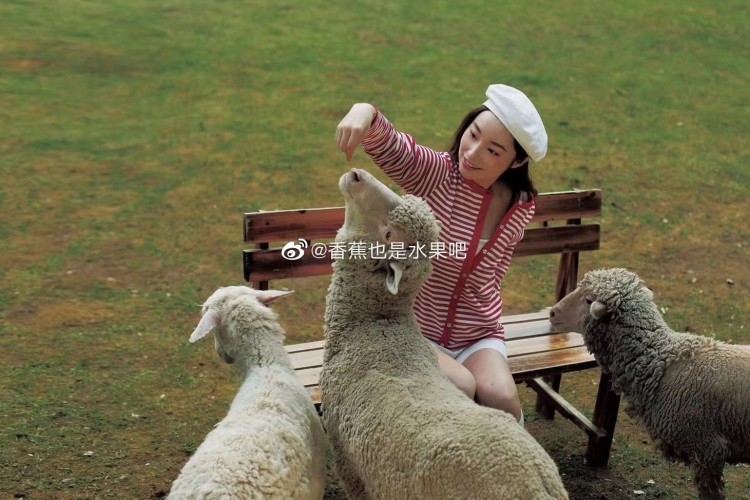 胶片，有喜欢的朋友可以约拍一下哦