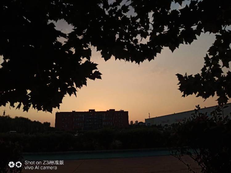 柳玉莹-河南省·洛阳市·偃师市-快手-我会抓拍人物特点 形象 还有风景 景物 会找合适的位置 角度 摆各种姿势等 各种风格都可以 滤镜也可以调 还可以批图