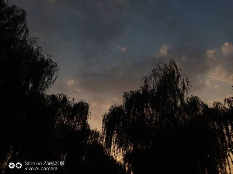 柳玉莹-河南省·洛阳市·偃师市-快手-我会抓拍人物特点 形象 还有风景 景物 会找合适的位置 角度 摆各种姿势等 各种风格都可以 滤镜也可以调 还可以批图
